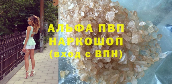 индика Нефтегорск