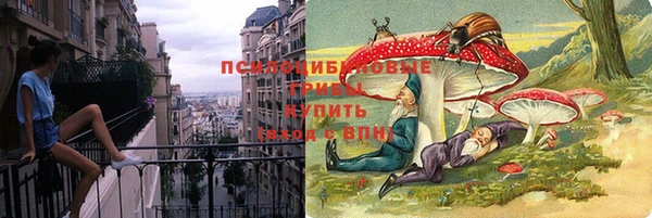 ECSTASY Нефтекумск