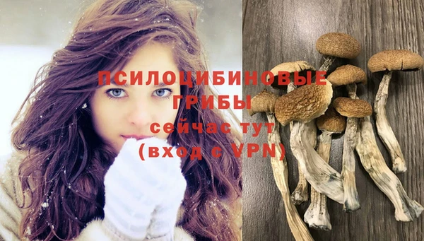 ECSTASY Нефтекумск