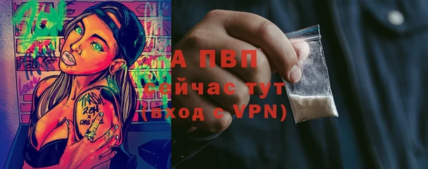 ECSTASY Нефтекумск