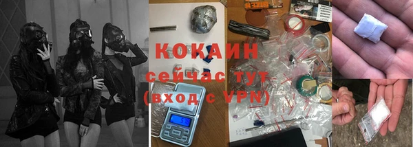 индика Нефтегорск