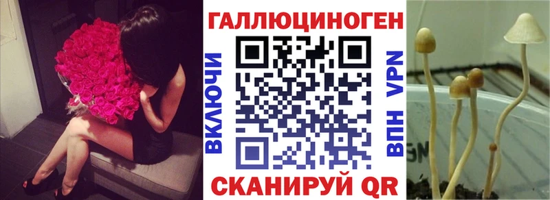 Псилоцибиновые грибы прущие грибы  Любань 